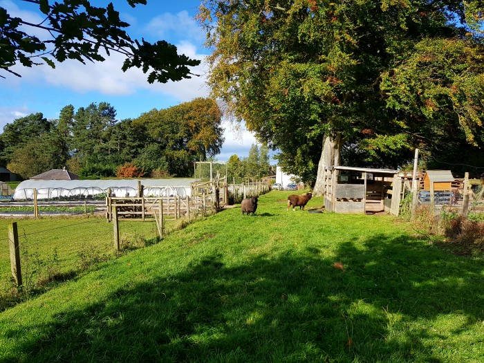 Southton Smallholding- looks idyllic, don&#039;t it?