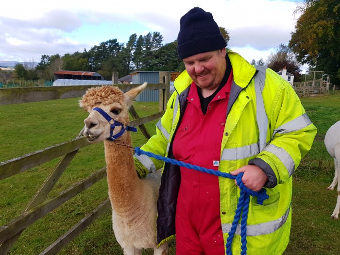 Southton Smallholding -aEwan and the Alpaca