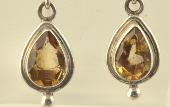 Frames Neem Earrings