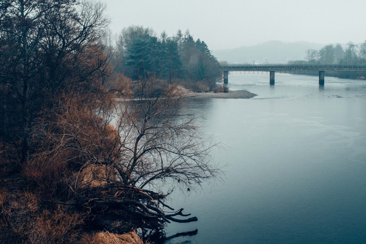 The Banks of the Tay