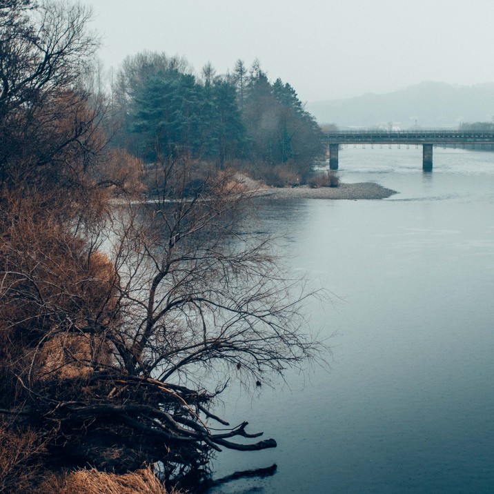 The Banks of the Tay