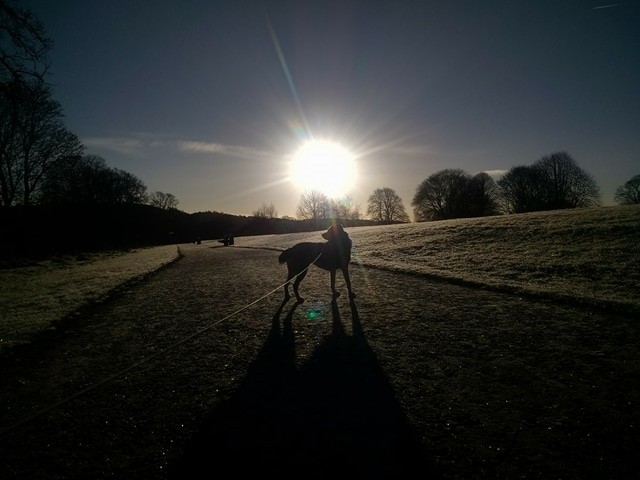 North Inch in the Snow