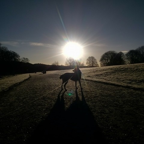 North Inch in the Snow