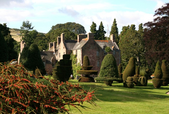 Fingask through the trees