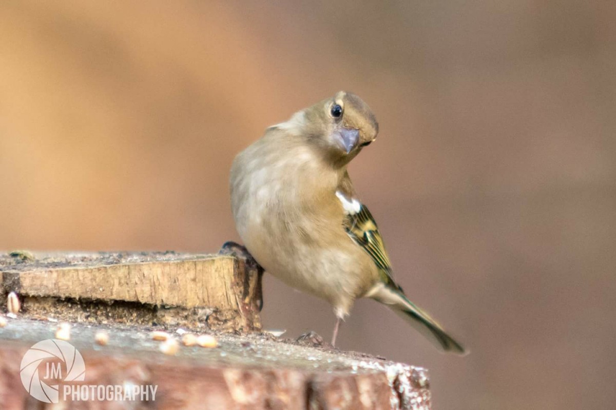 What are you looking at?