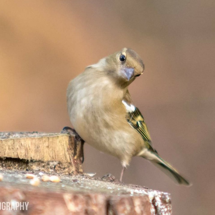 What are you looking at?