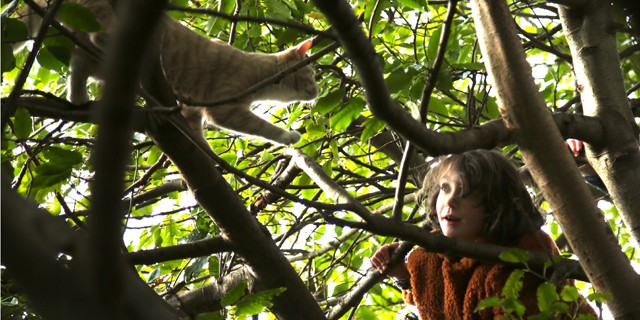 Created by Greg Sinclair, a co-production with Perth Theatre