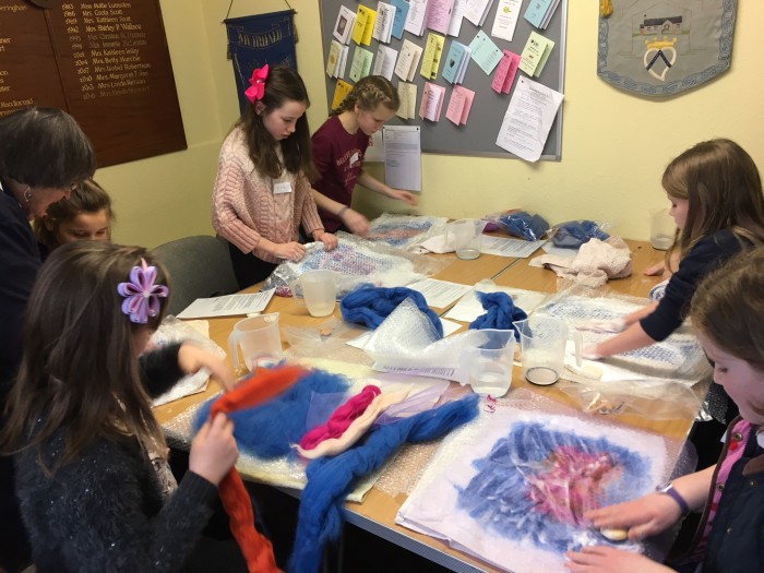 SWI Junior Dippers blue and red