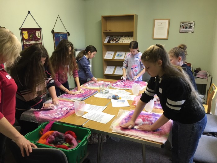 SWI Junior Dippers purple material