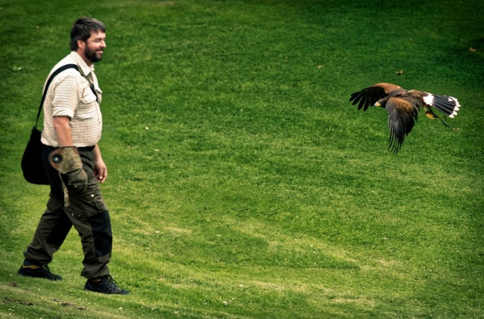 For all keen birdwatchers - Scone Palace have a treat for you!