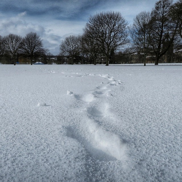 Footprints on a snow covered Inch.