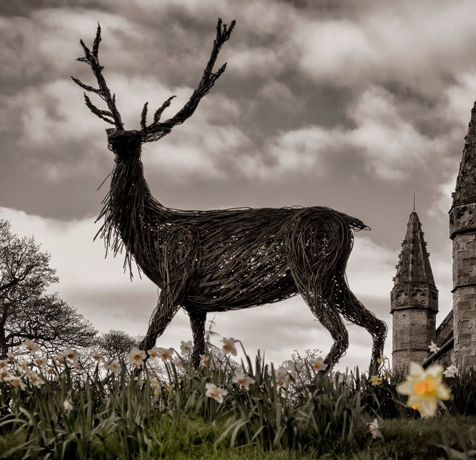 STAG DO AT SCONE PALACE