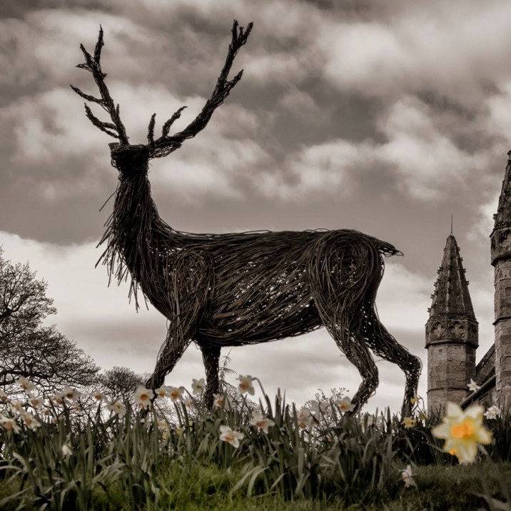 STAG DO AT SCONE PALACE