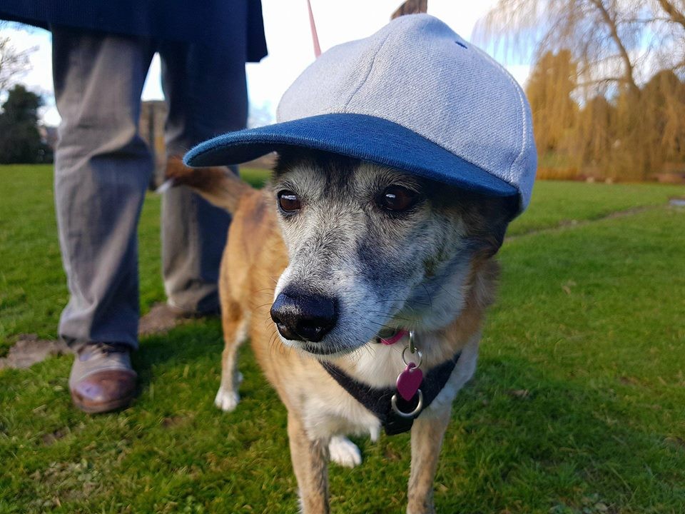 MILLIE DOING HER SNOOP DOGGY DOG IMPRESSION AT RODNEY GARDENS