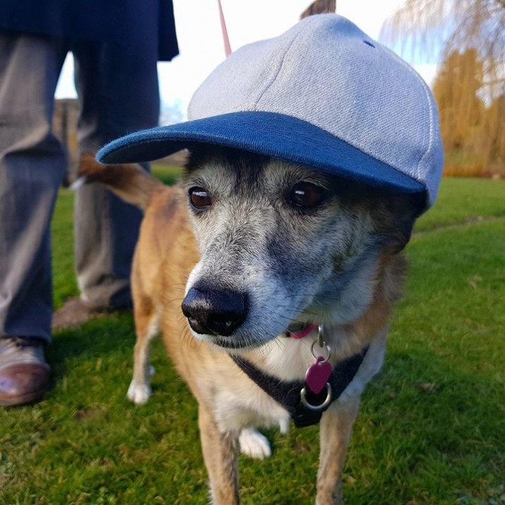 MILLIE DOING HER SNOOP DOGGY DOG IMPRESSION AT RODNEY GARDENS