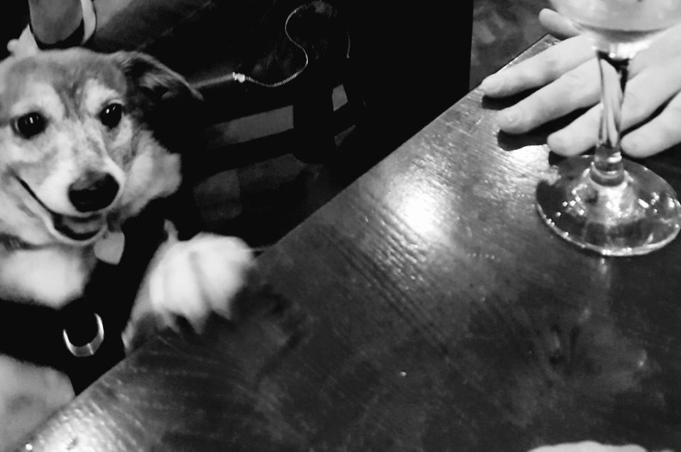 PUB LIFE AT OLD SHIP INN