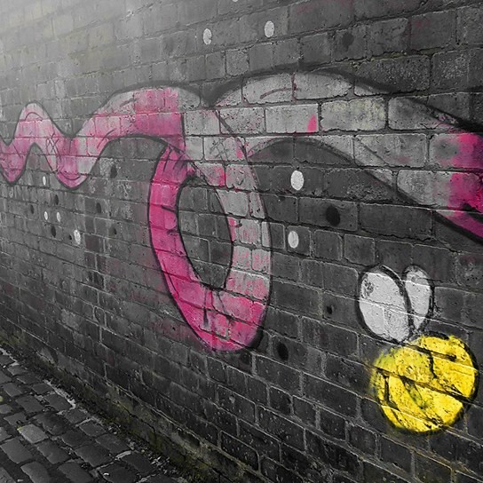 We got elephant's trunk at the venue!