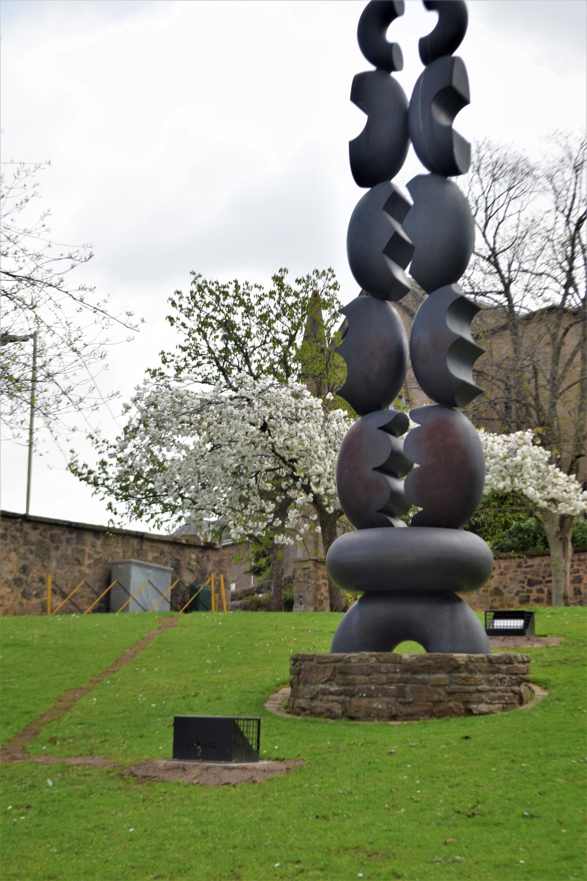 The tallest of them all!