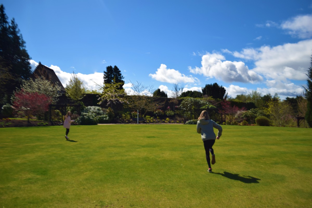 Catch me if you can!