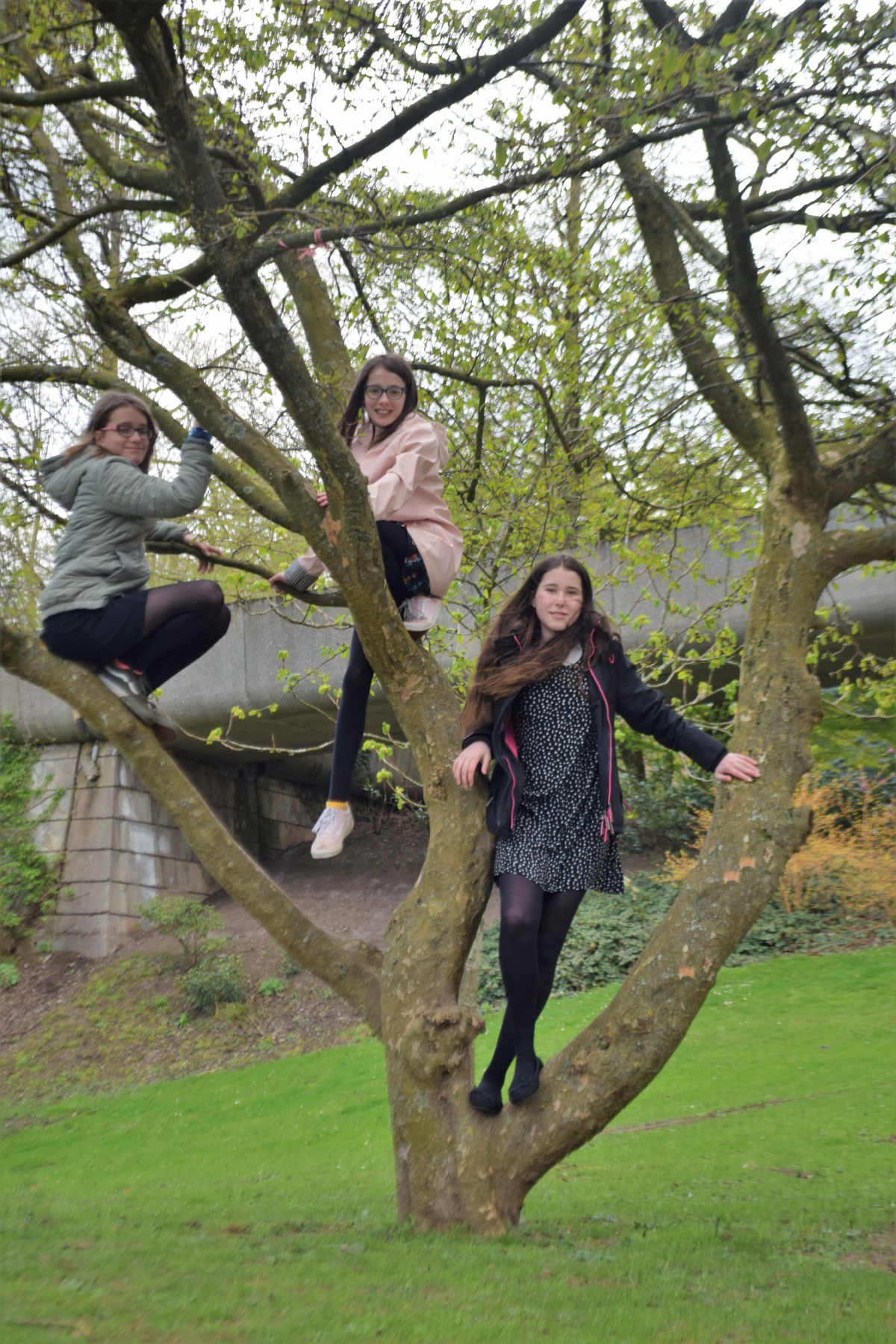 How high can you climb?