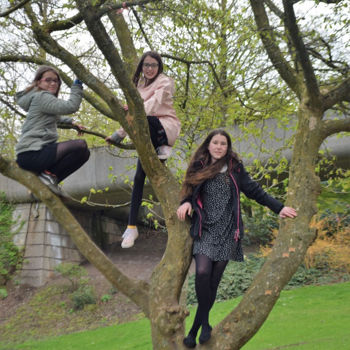 How high can you climb?