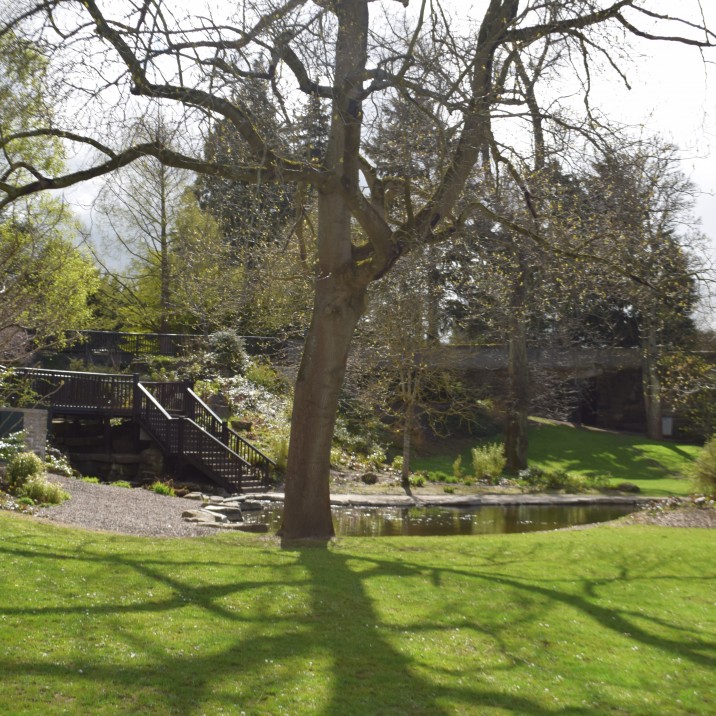 The Trees of Scotland
