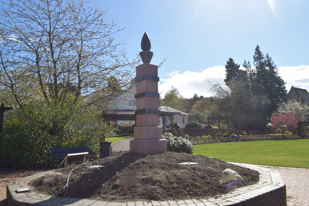 Ever seen Evergreen?