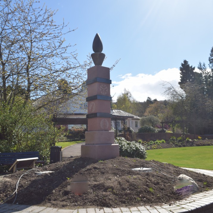 Ever seen Evergreen?