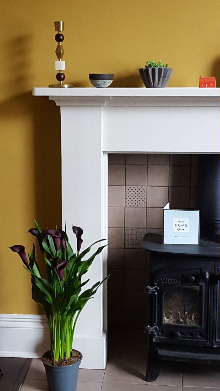 Property Blog - Nicki house