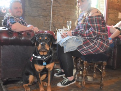 Pups in the Pub