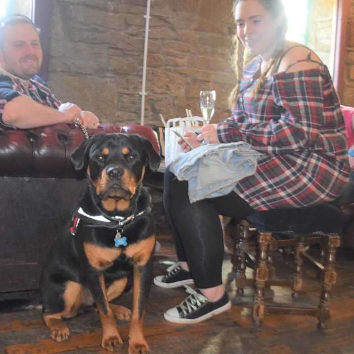 2 Puppies and Prosecco