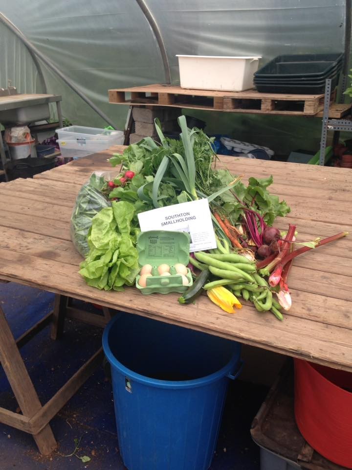 Southton Smallholding Subscription Box!