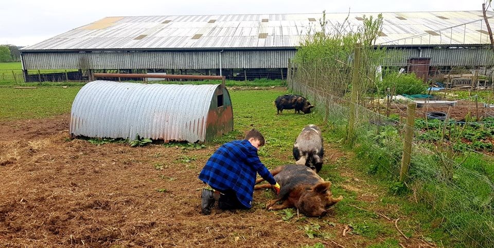 Sam giving bubble and squeak some tlc.