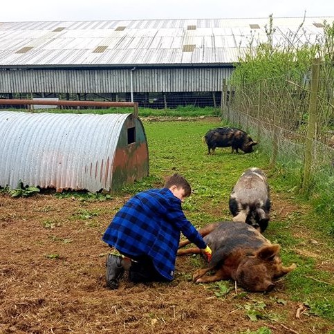 Sam giving bubble and squeak some tlc.