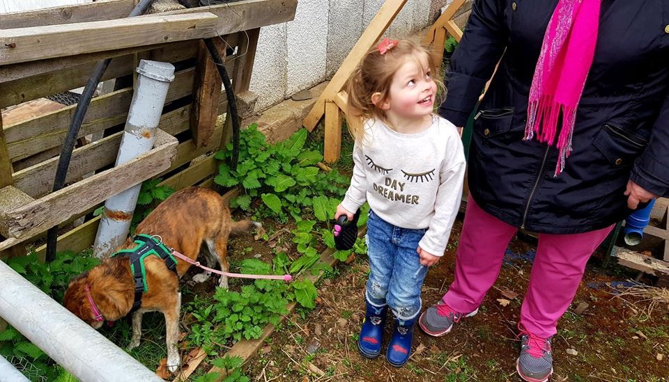 Libby and Millie chillin' at the plant sale