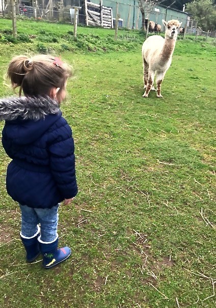 Libby meets her first Alpaca