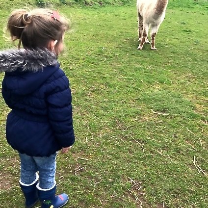 Libby meets her first Alpaca