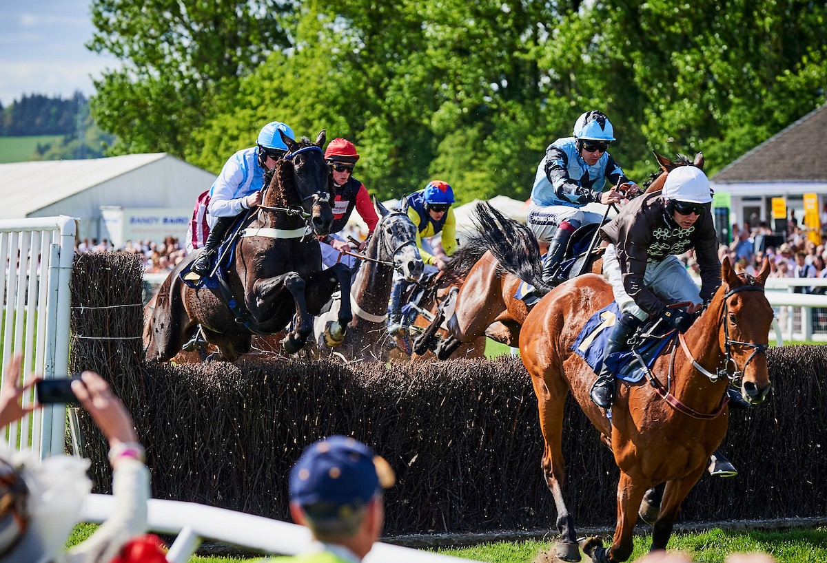 TOTEPOOL LADIES DAY 2018