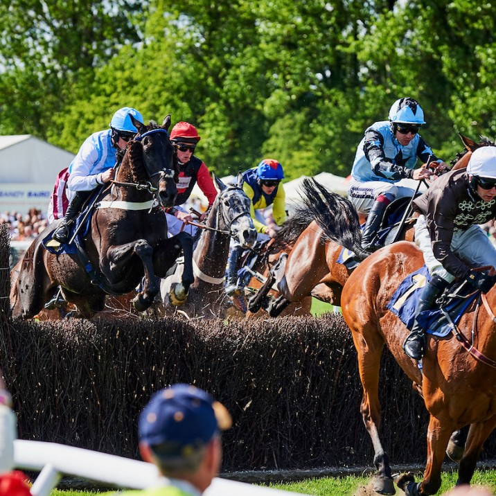 TOTEPOOL LADIES DAY 2018