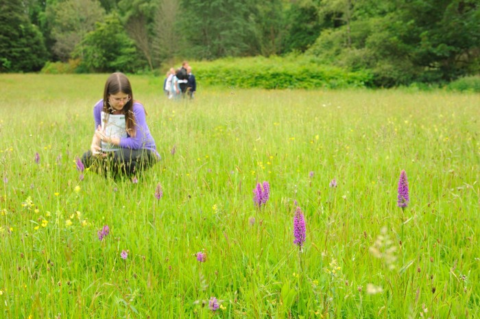 Scottish Natural Heritage, situated some 5 miles north of Perth, welcomes you to the launch of their pollinator demonstration site in the grounds of Battleby House.