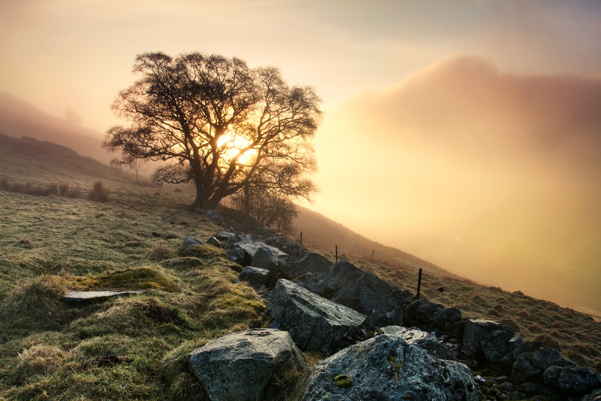 A beautiful sunset in the scenic countryside