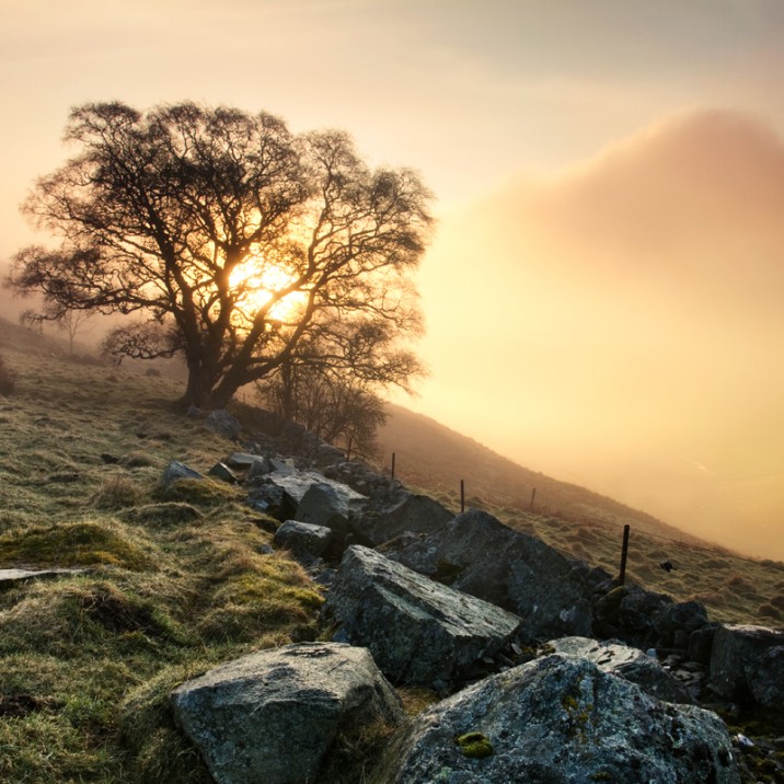 A beautiful sunset in the scenic countryside