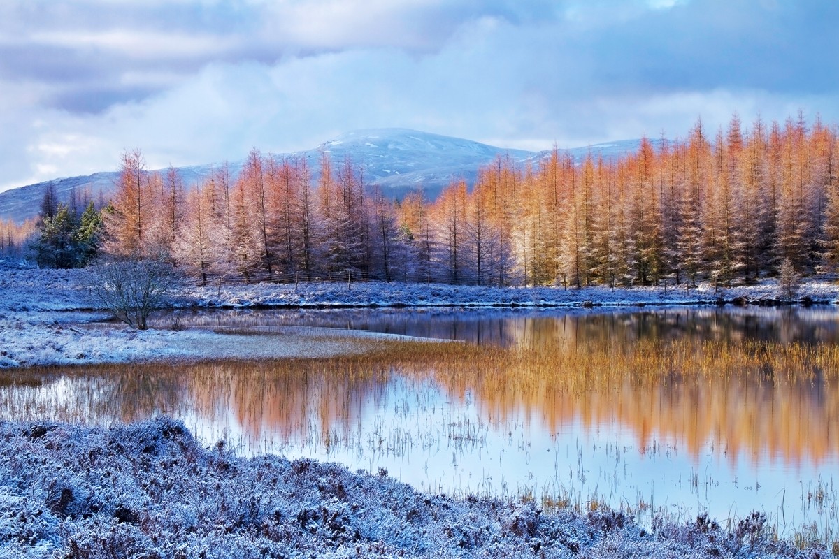 Frosty winter morning at the lake