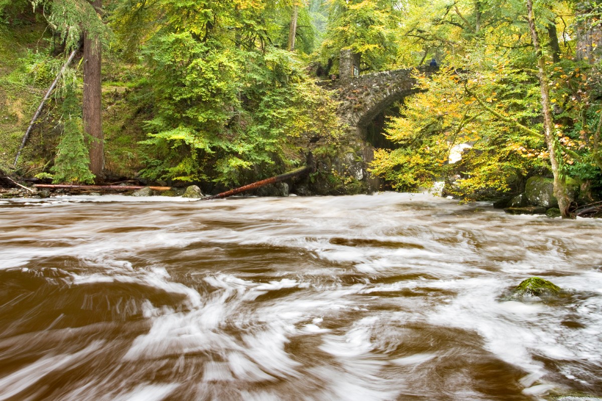 Wild water break at the rumbling bridge on the hermitage trail