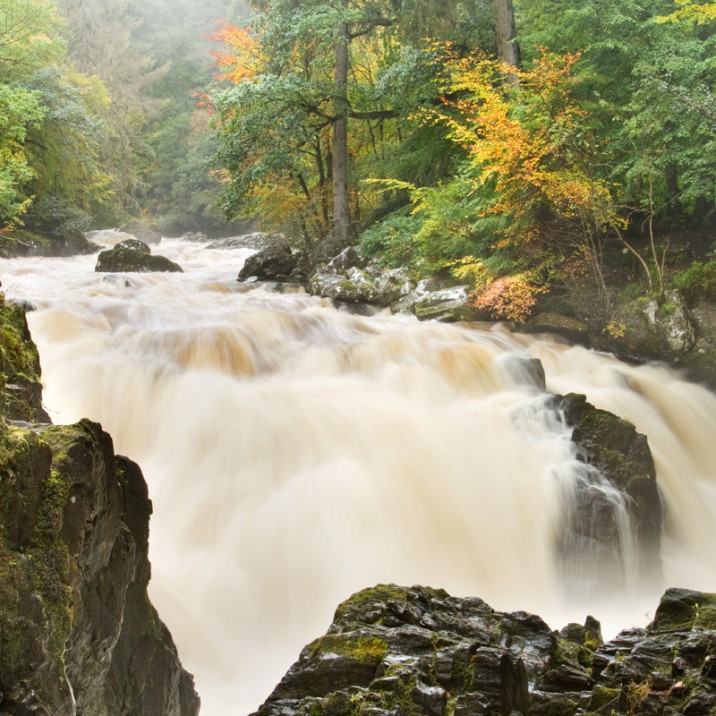 Wild waterfalls at Dunkeld Hermitage