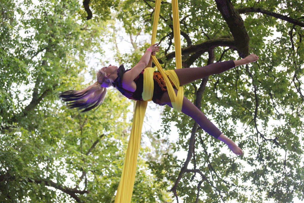 An aerial performance in the trees!