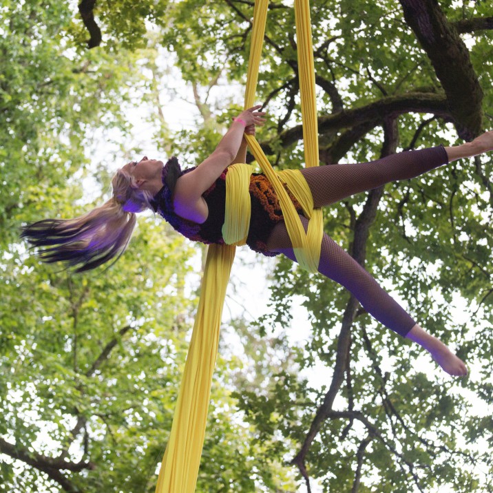 An aerial performance in the trees!