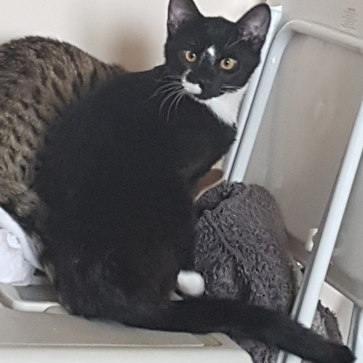 Tag- a little patience and quiet time will bring out the best in this gorgeous boy