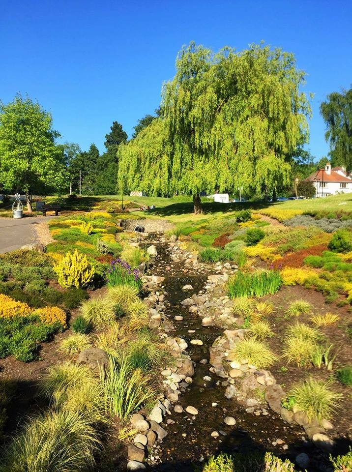 Norrie Miller Walk this Way!