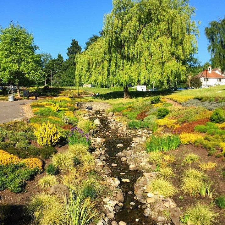 Norrie Miller Walk this Way!